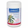 Los suplementos nutricionales (probióticos y aceites esenciales) combaten la candidiasis